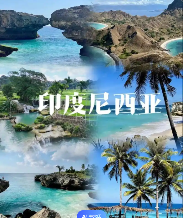 国际电商(印尼)产业博览会冰球突破网站2025中国(图3)